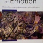 THE HEALING POWER OF EMOTION - AFFECTIVE NEUROSCIENCE, DEVELOPMENT & …