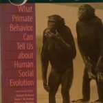 TREE OF ORIGIN - WHAT PRIMATE BEHAVIOR CAN TELL US …