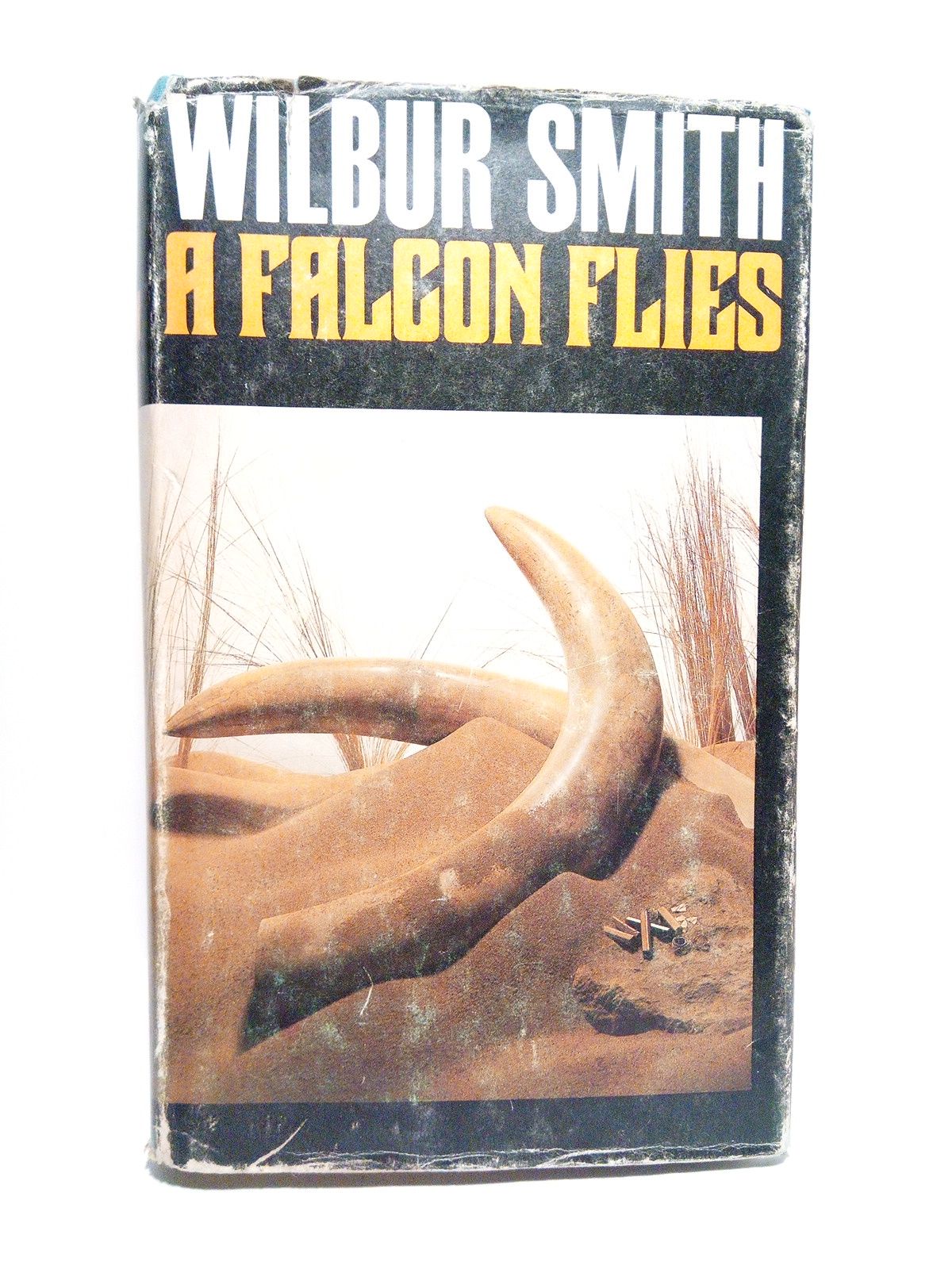 A Falcon Flies