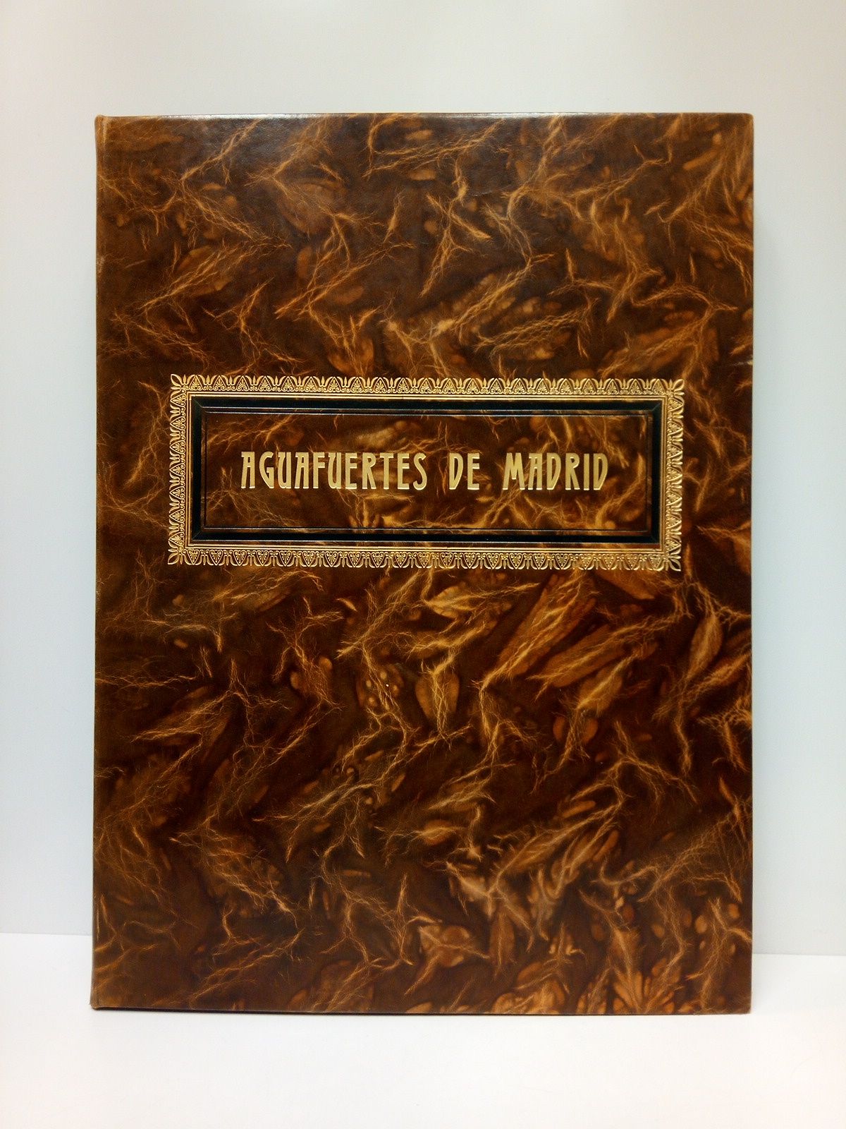 Aguafuertes de Madrid [Título tomado de la cubierta]