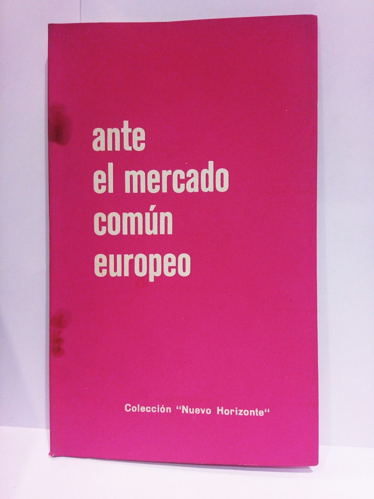 Ante el mercado común europeo