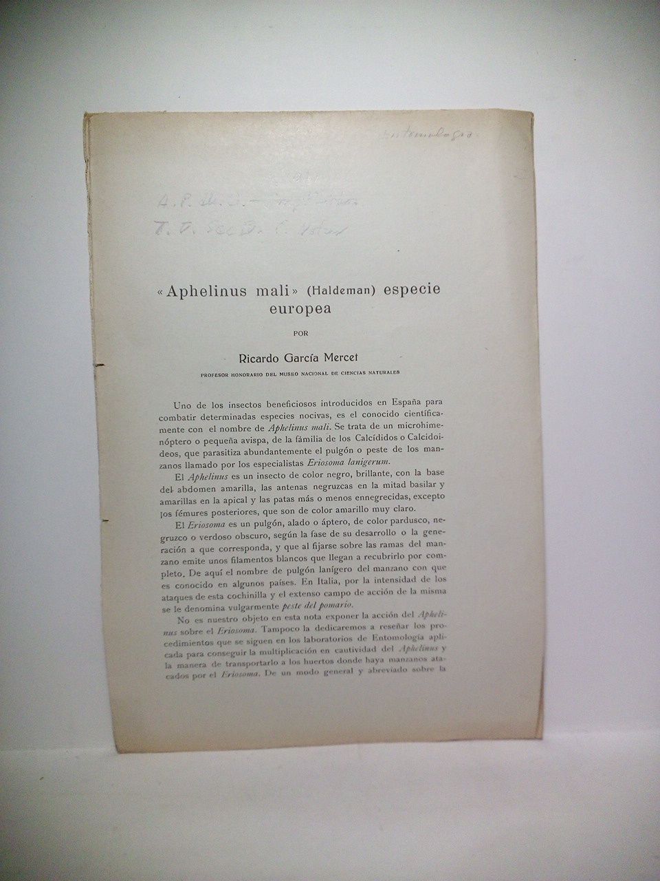 Aphelinus mali (Haldeman) especie europea
