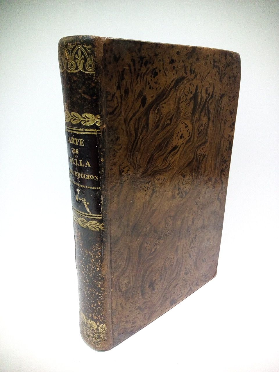 Arte de bella producción para señoritas