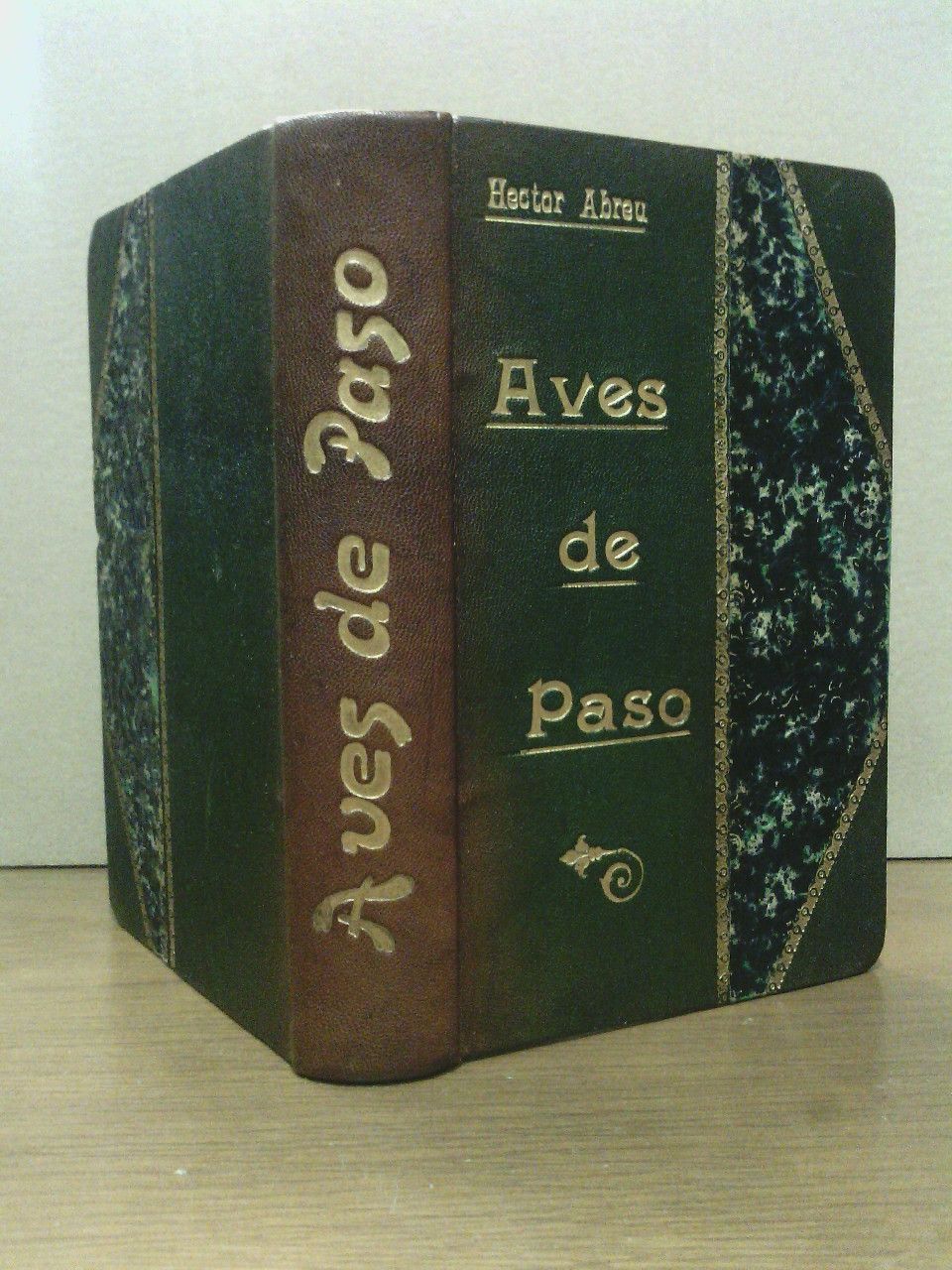 Aves de Paso. (Novela)
