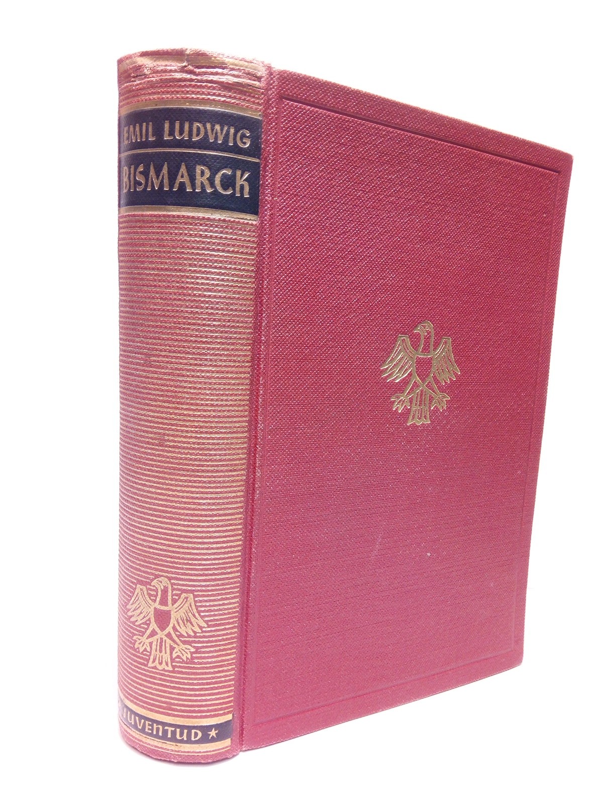 Bismarck. Historia de un luchador