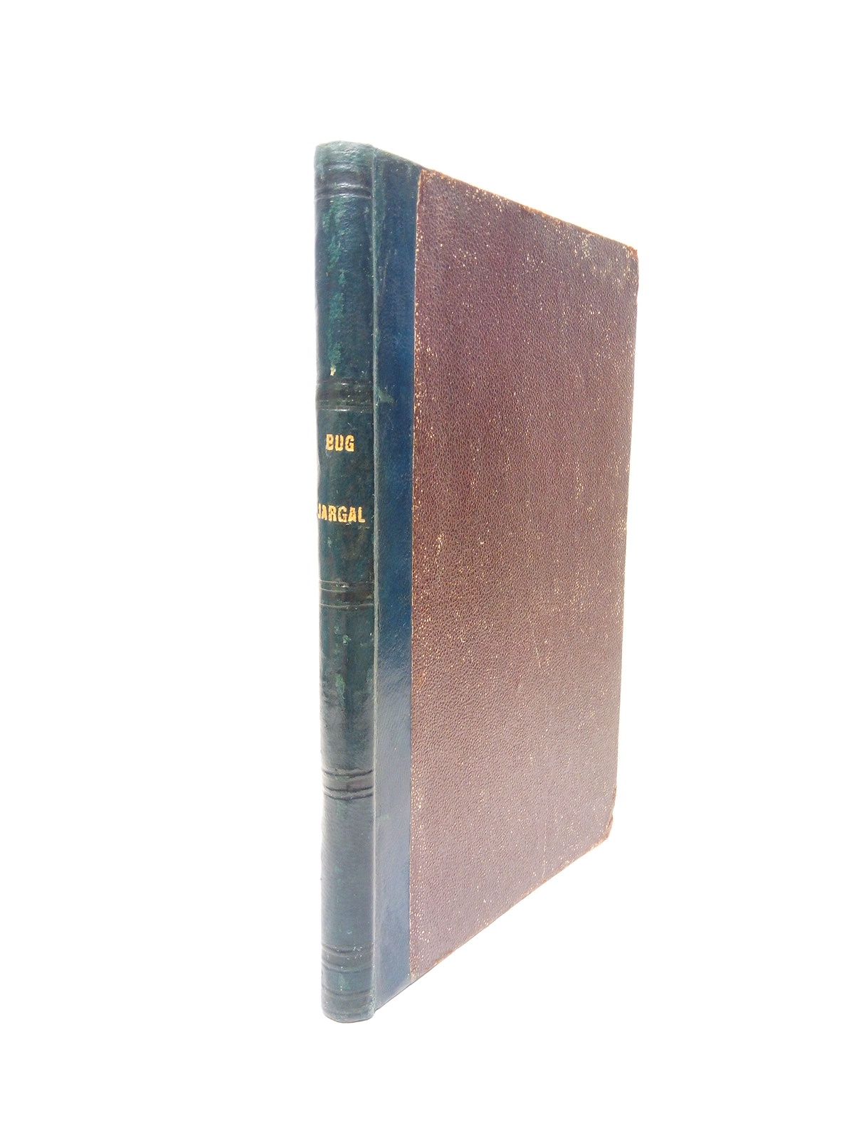 Bug Jargal ó el Negro Rey