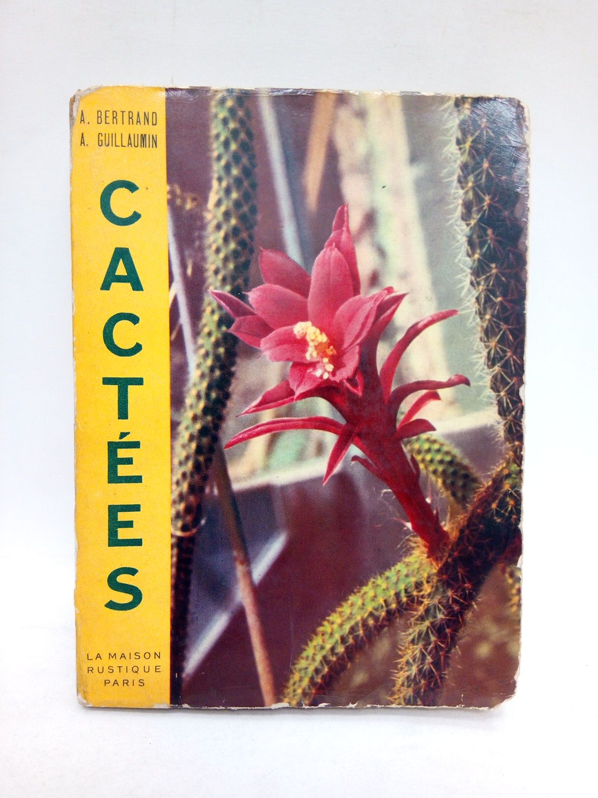 Cactées / Photographies en coleurs et en noir par A. …