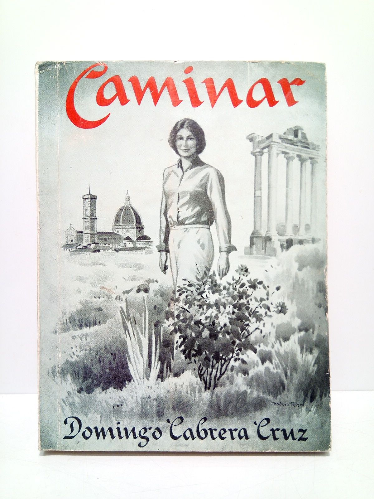 Caminar: Impresiones de viajes por pueblos de Europa