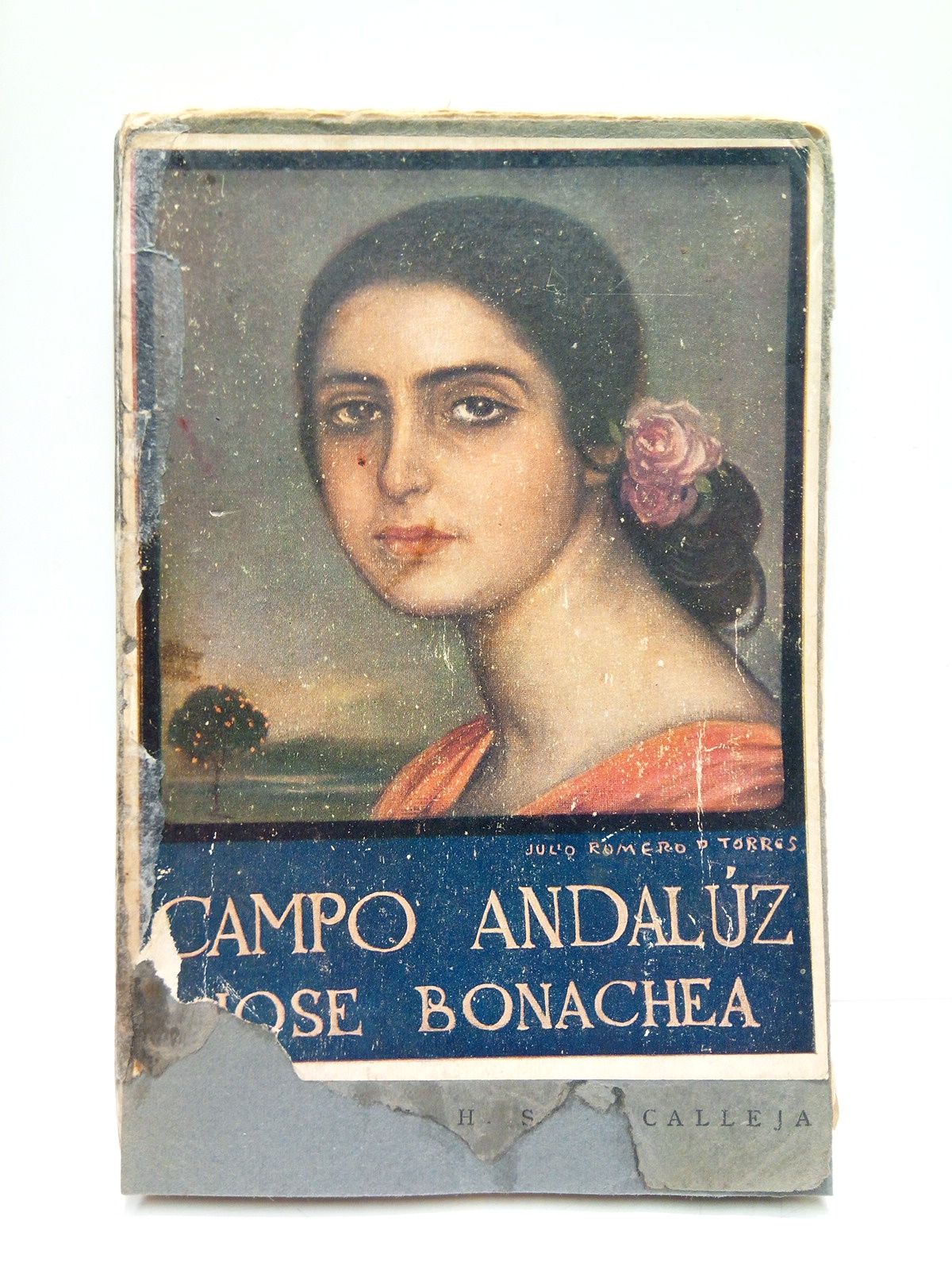 Campo andalúz (Novela)