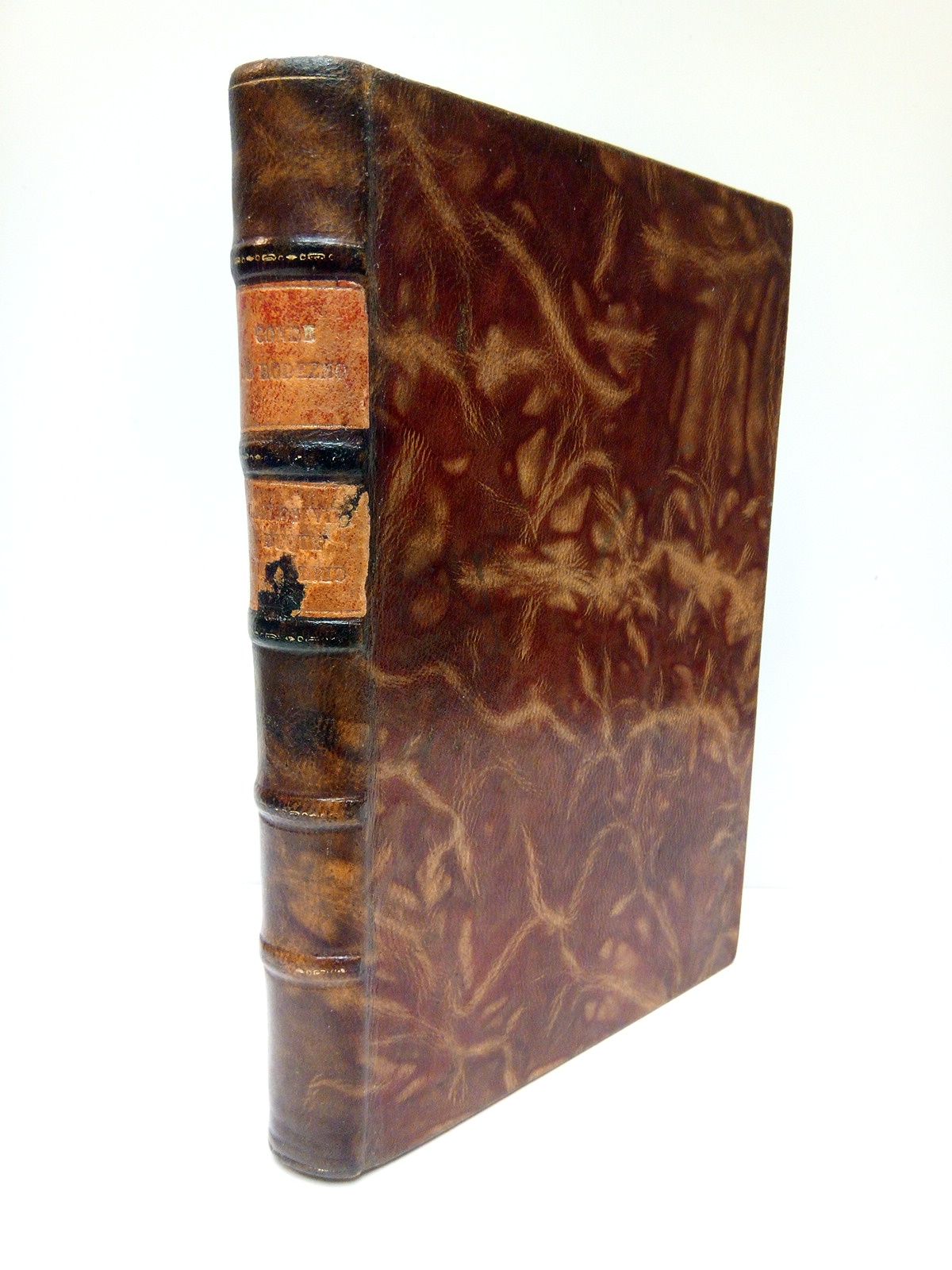 Carlos VII, Duque de Madrid