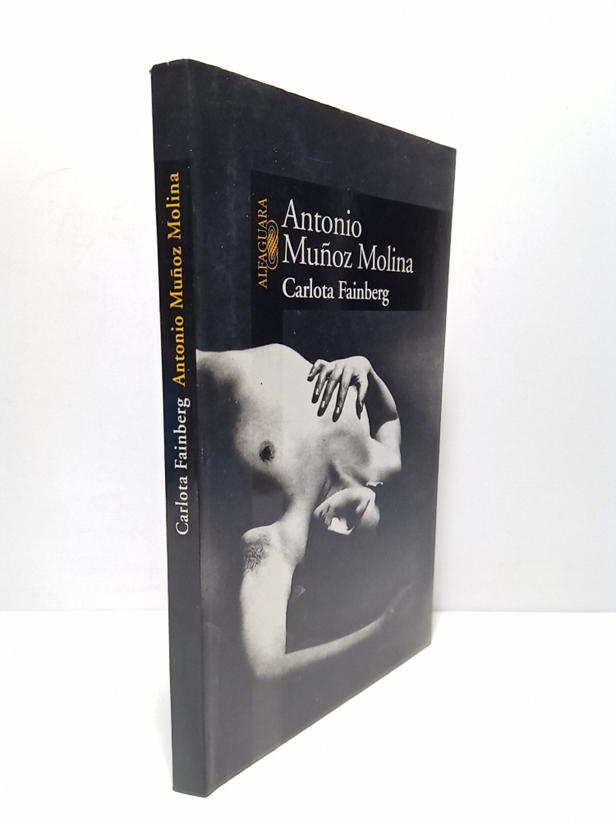 Carlota Fainberg [novela]