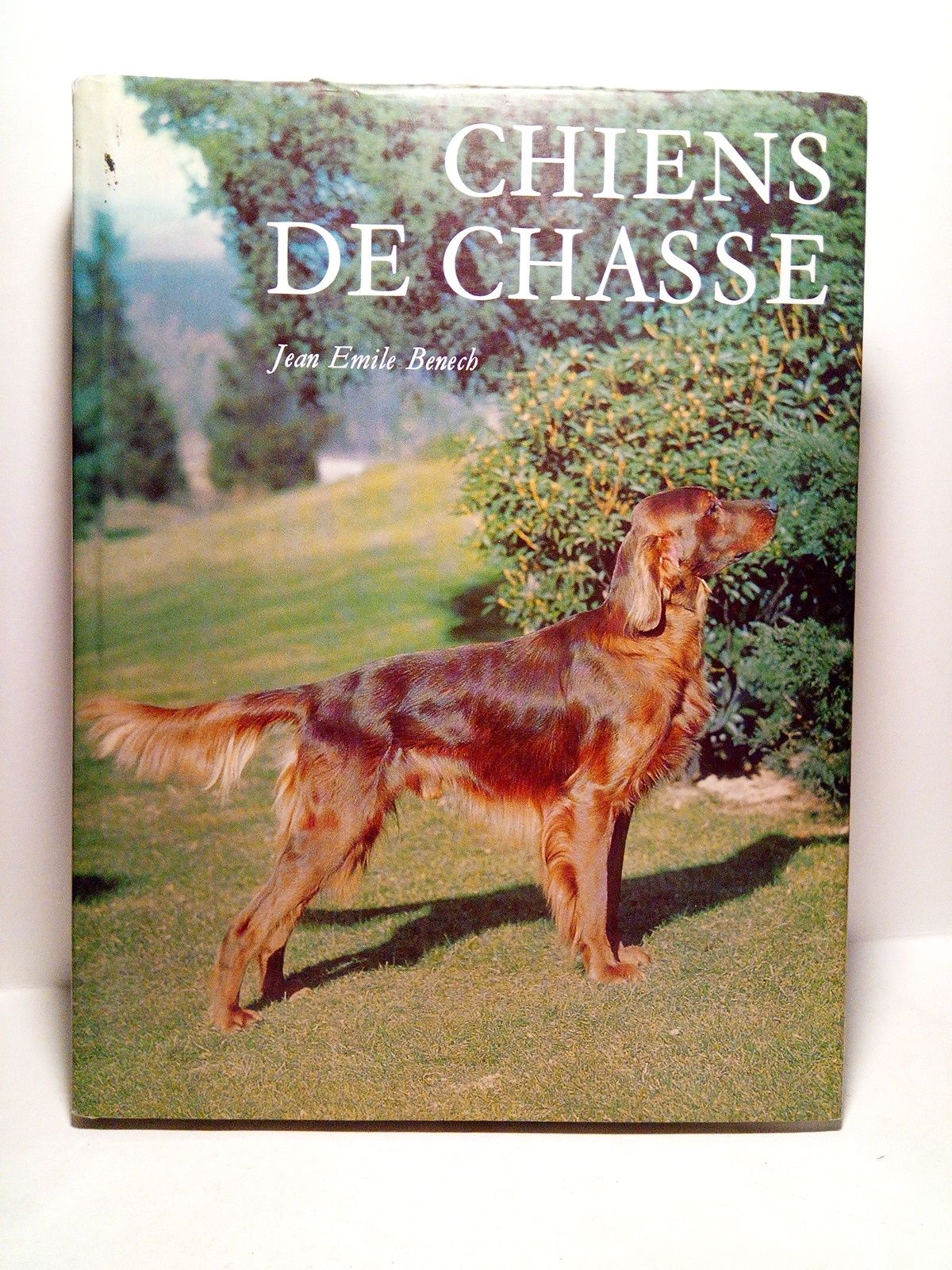 Chiens de Chasse