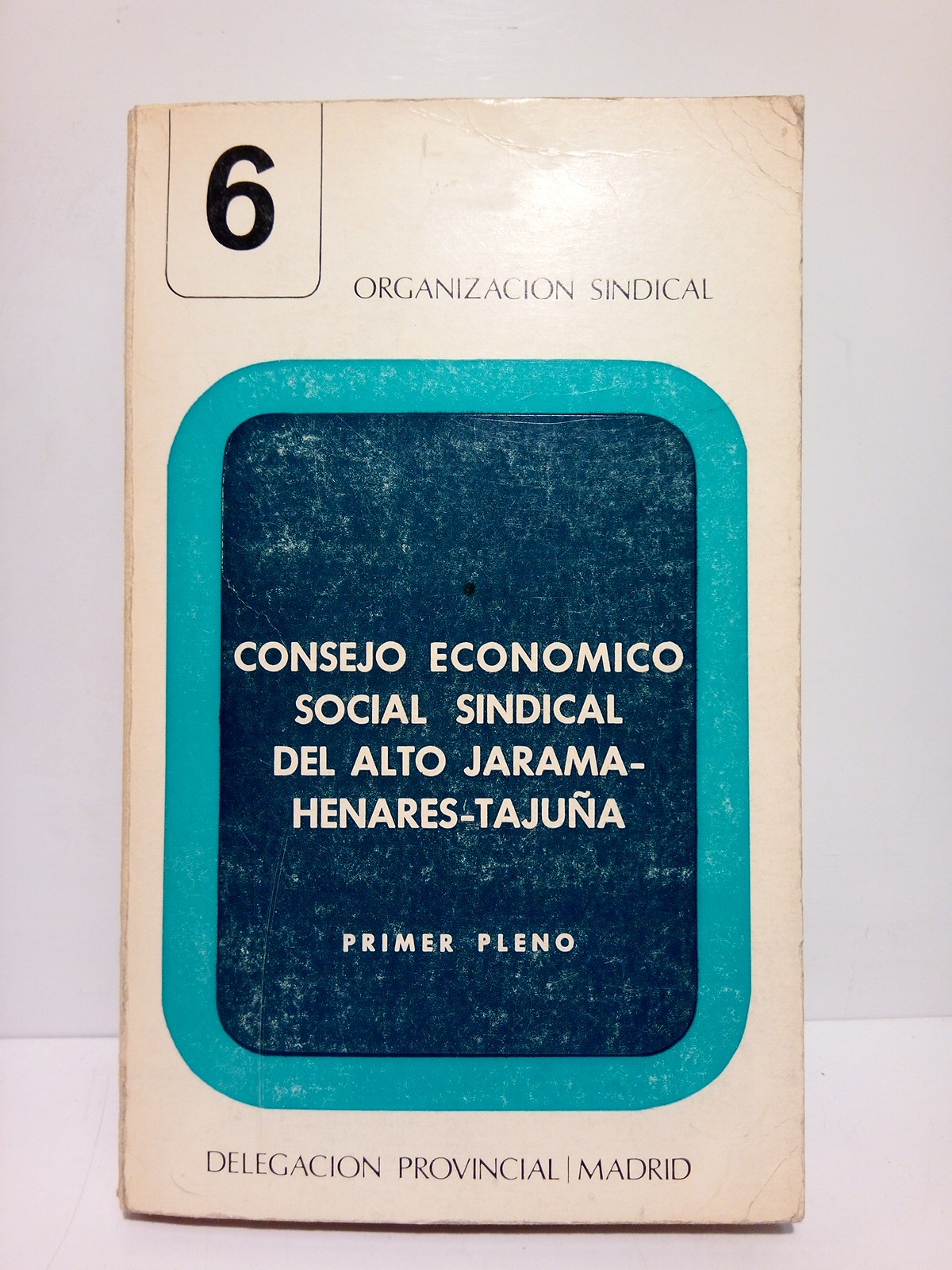 Consejo Económico Social Sindical del Alto Jarama-Henares-Tajuña. Primer Pleno