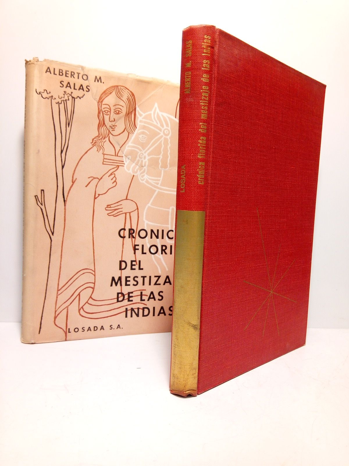 Crónica florida del mestizaje de las Indias (siglo XVI)