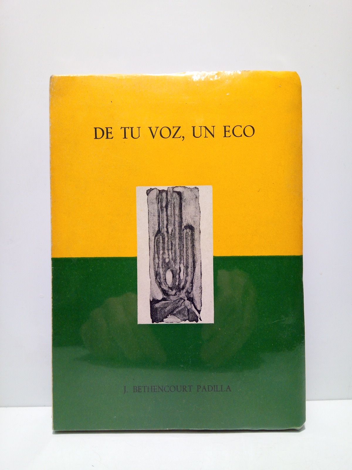 De tu voz, un eco (Poesías)
