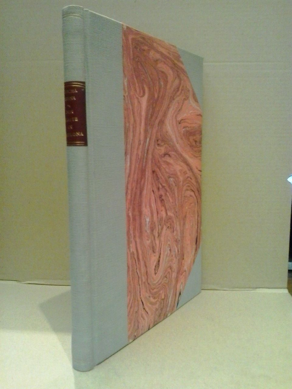 Don Quijote en Barcelona. (Conferencia III de la serie organizada …