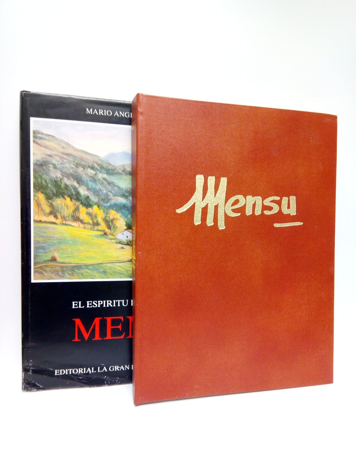 El espíritu pictórico de Mensu / Prólogo de Luis Lázaro …