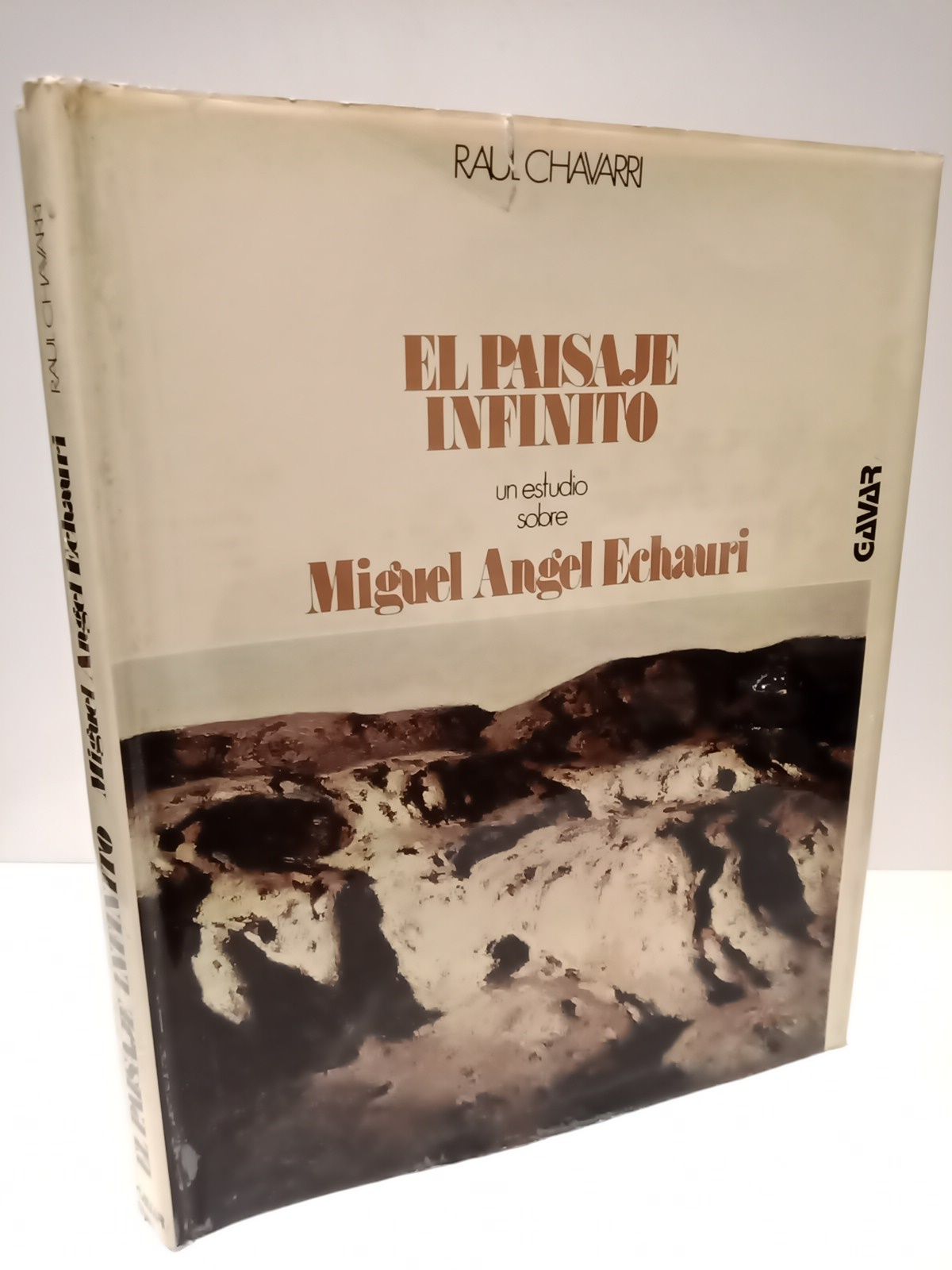 El paisaje infinito: Un estudio sobre Miguel Angel Echauri