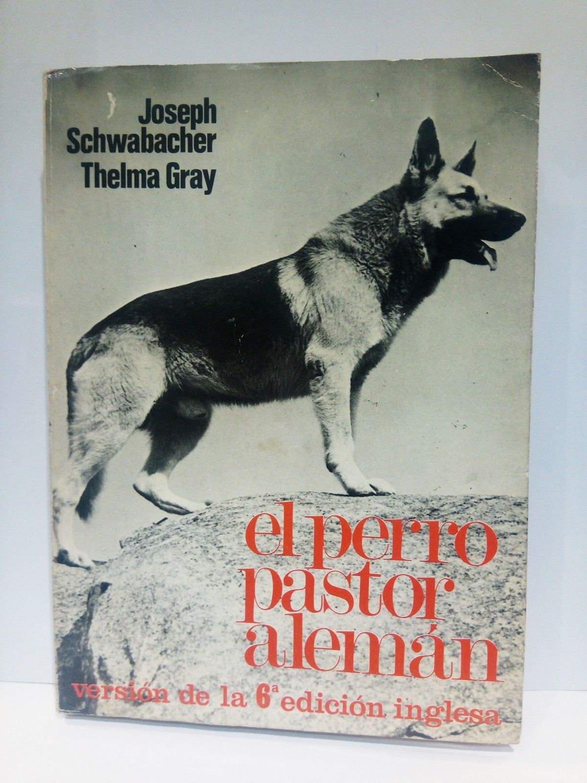 El perro pastor alemán