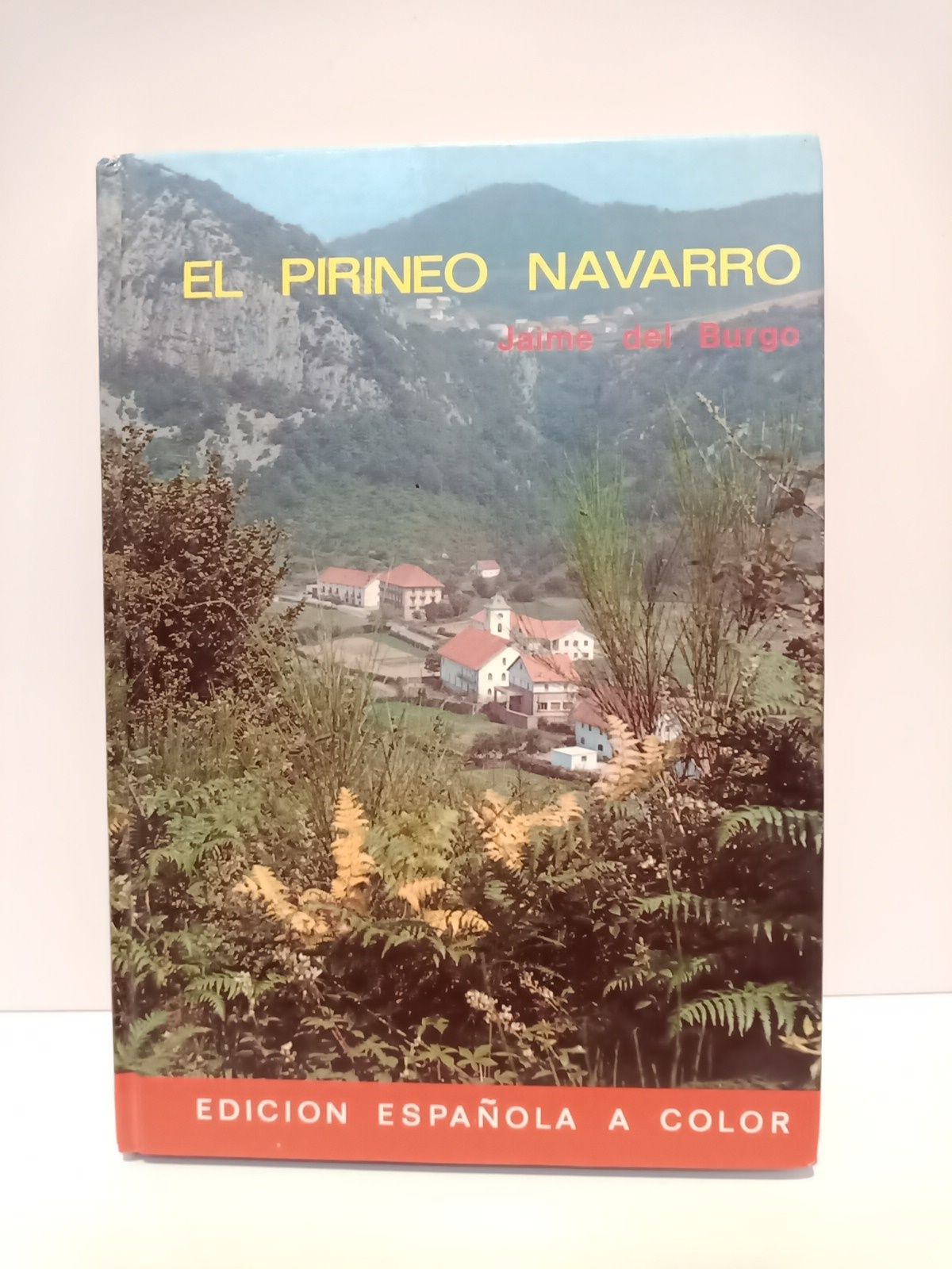 El Pirineo Navarro