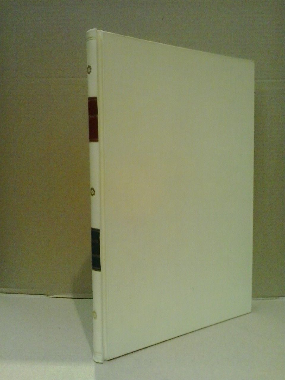 El retrato de Cervantes: Carta abierta