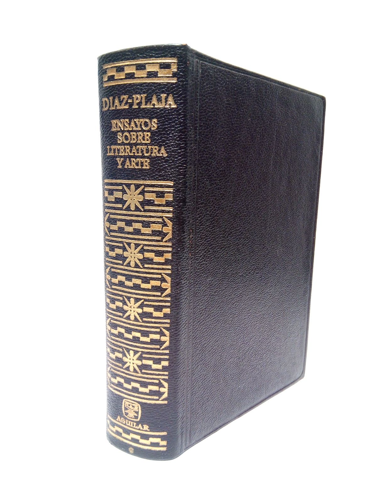 Ensayos sobre literatura y arte: El arte de quedarse solo …