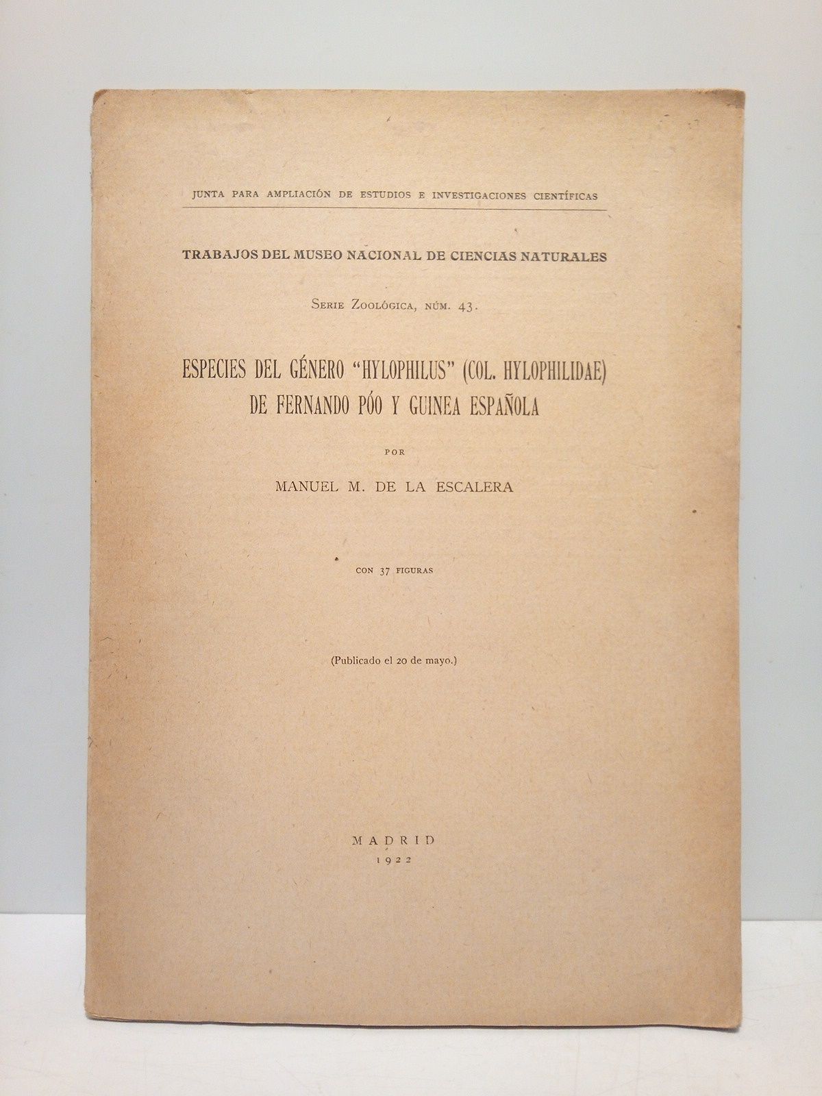 Especies del género "Hylophilus" (Col. Hylophilidae) de Fernando Póo y …