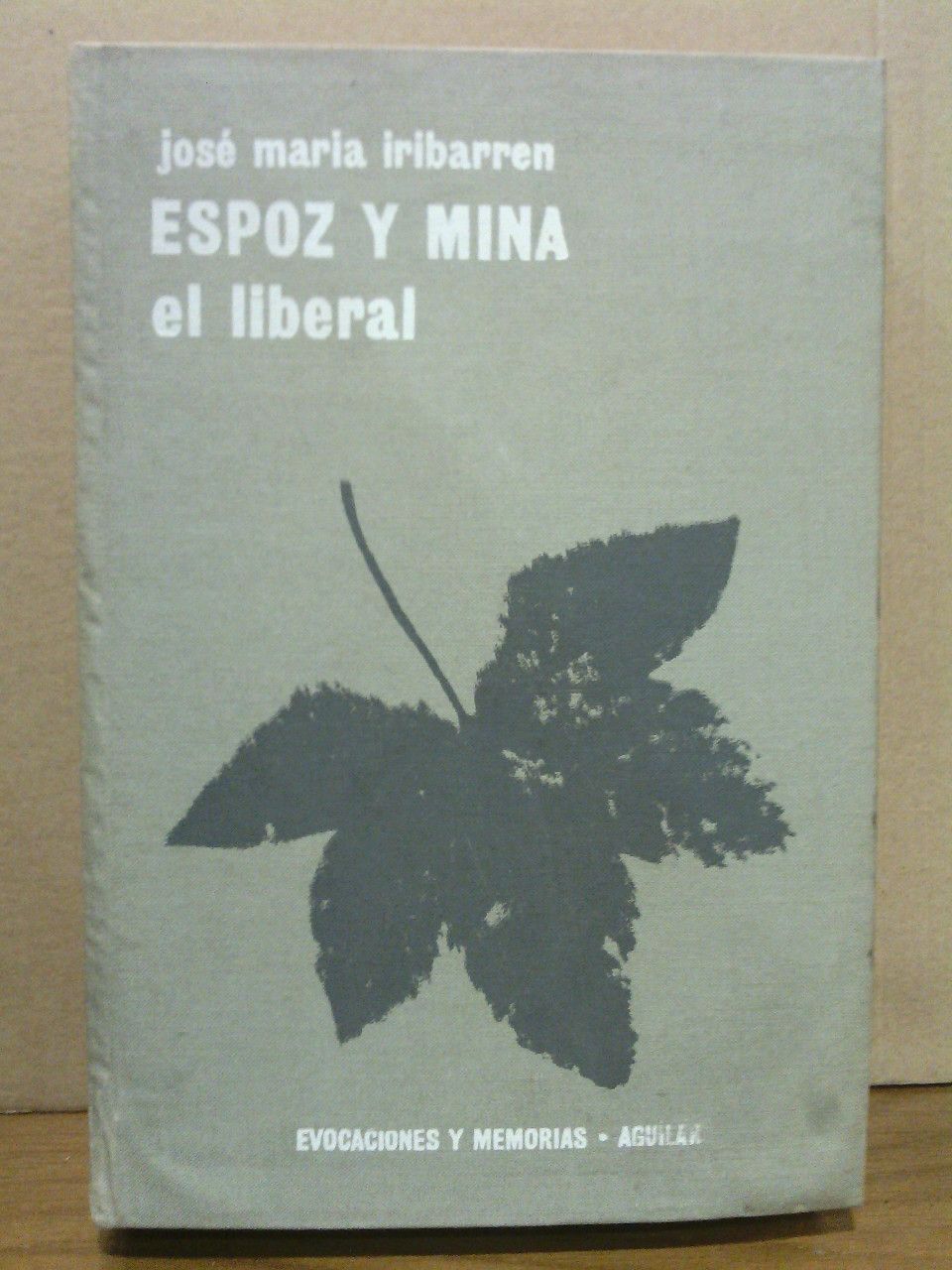 Espoz y Mina, el liberal