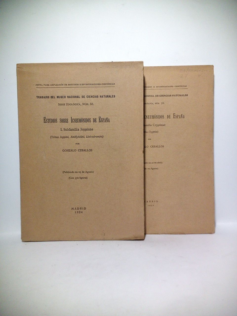 Estudios sobre Icneumónidos de España. I.: Subfamilia Joppinae (Tribus Joppini, …