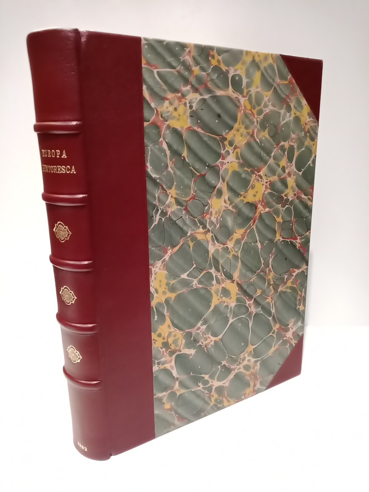 EUROPA PINTORESCA: Descripción general de viajes, ilustrada con numerosos y …