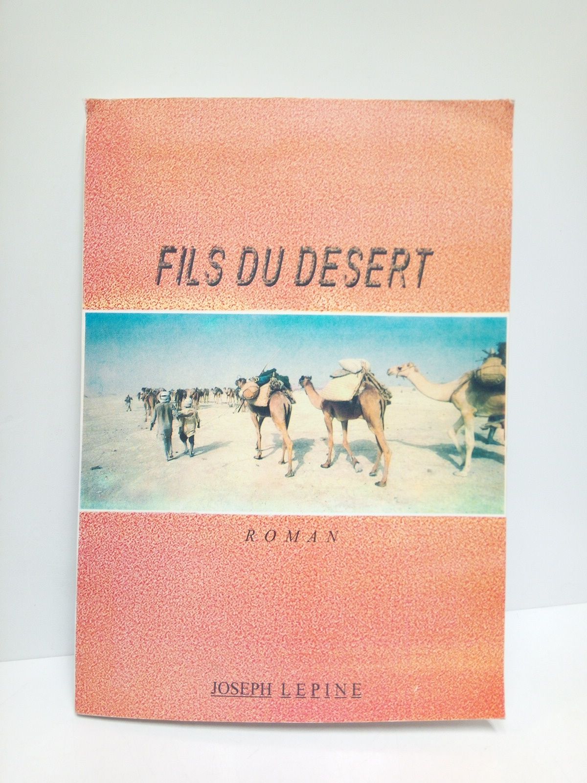 Fils du Desert. (Roman) / Preface par Bernadette Sanou/Dao