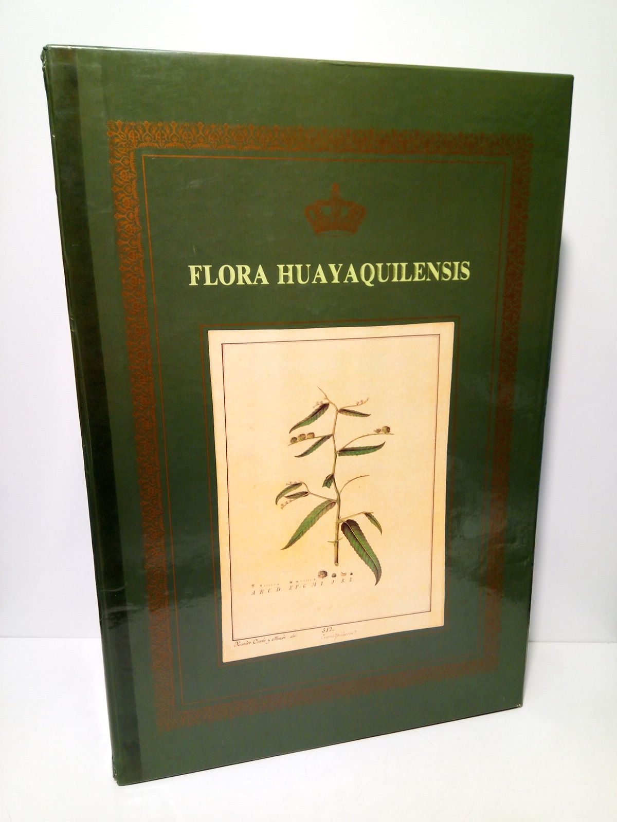 Flora Huayaquilensis sive descriptiones et icones plantarum huayaquilensium secundum systema …