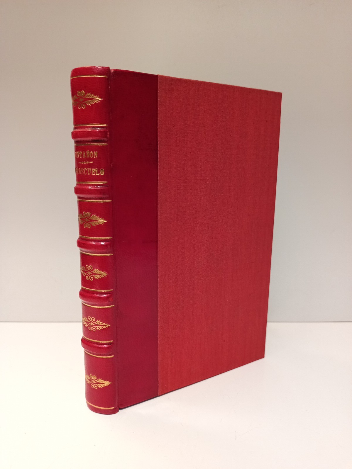 Frascuelo o el toreador