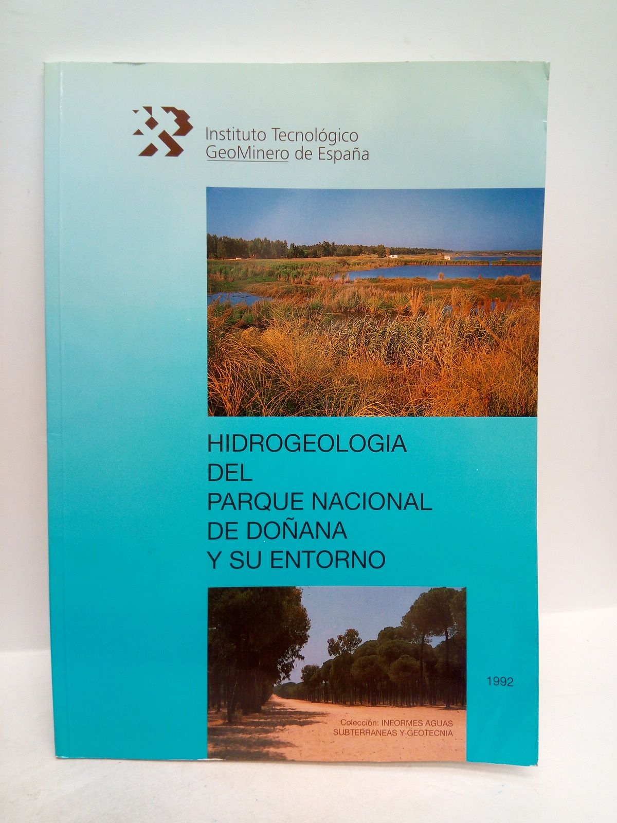 Hidrogeología del Parque Nacional de Doñana y su entorno