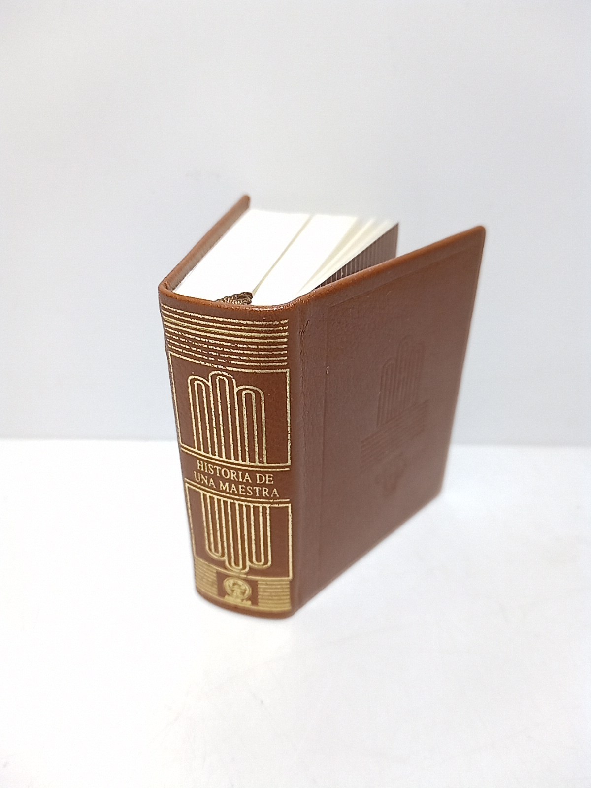 Historia de una maestra