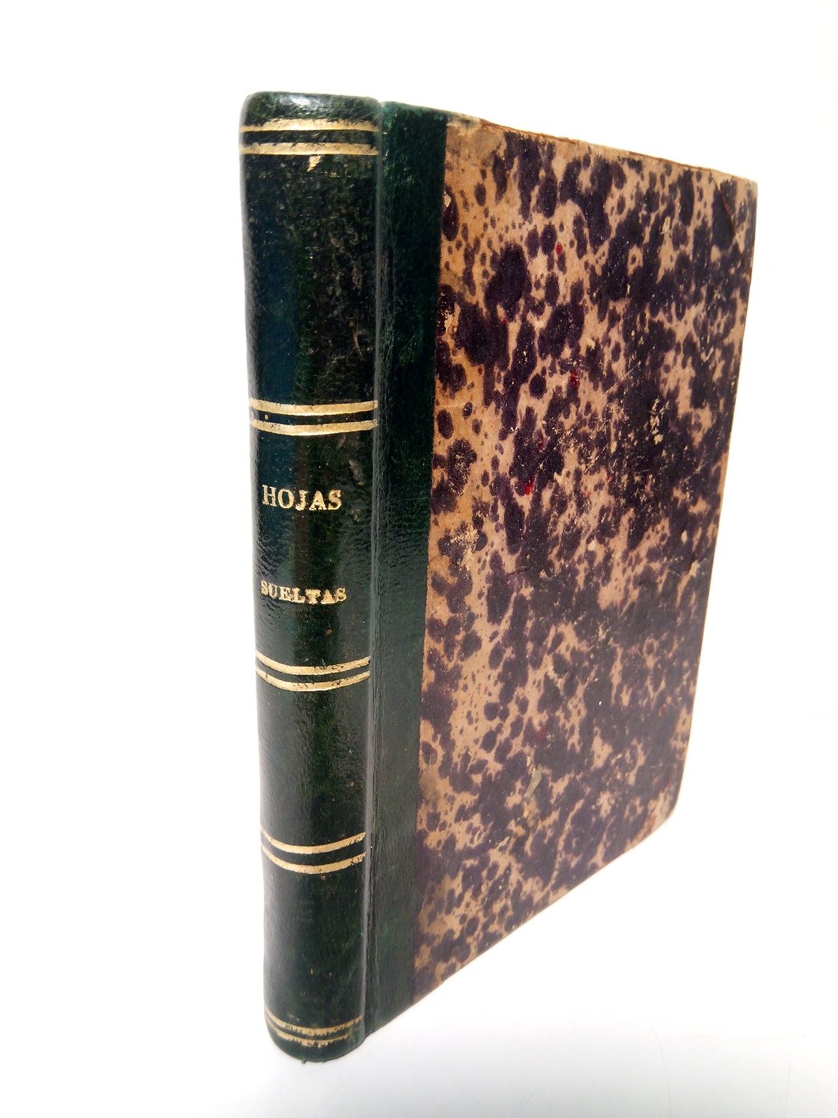 Hojas sueltas: Viajes ligeros alrededor de varios asuntos