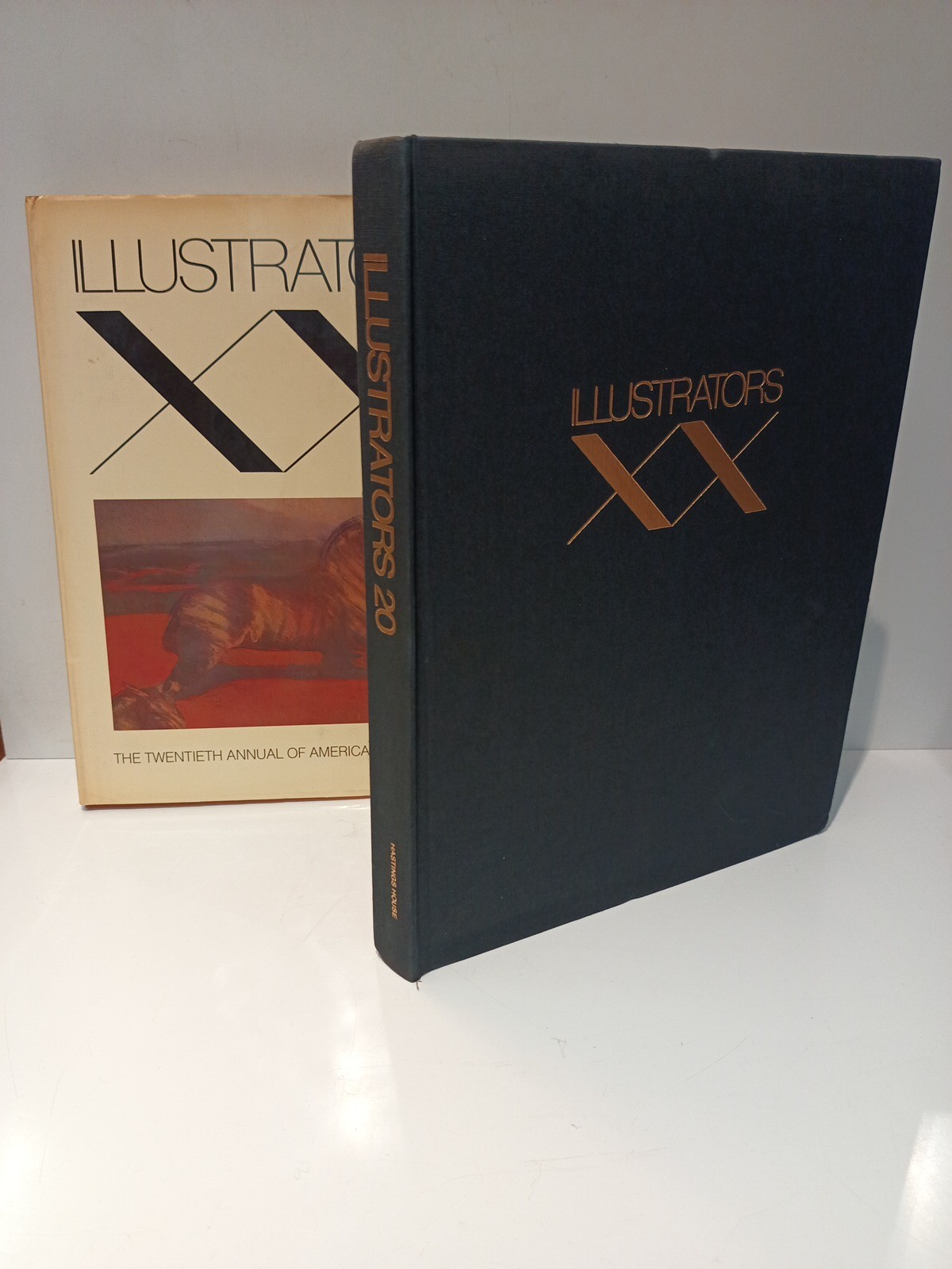 Illustrators XX: The twentieth annual of american illustration