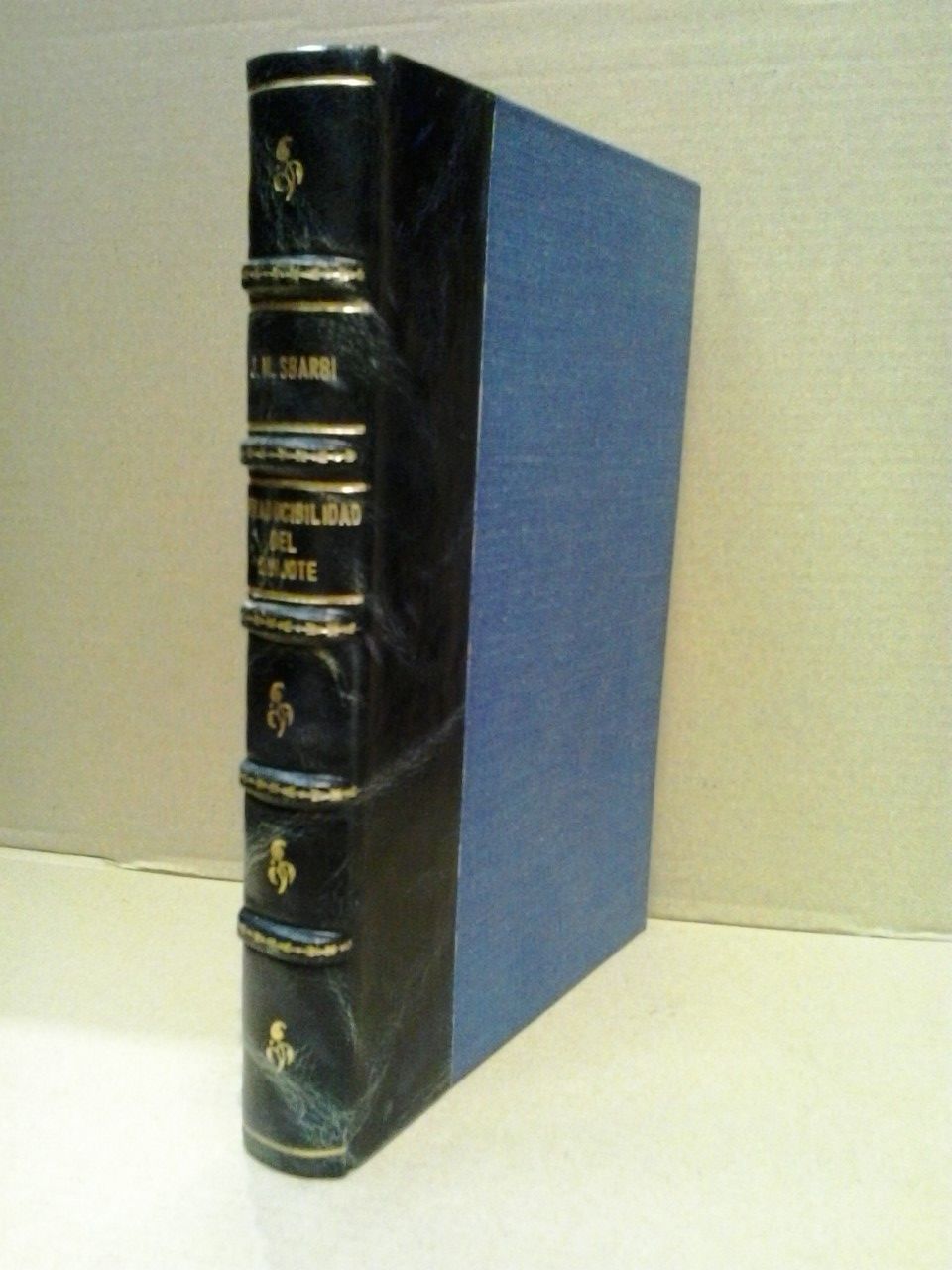 Intraducibilidad del Quijote: Pasatiempo literario ó apuntes para un libro …