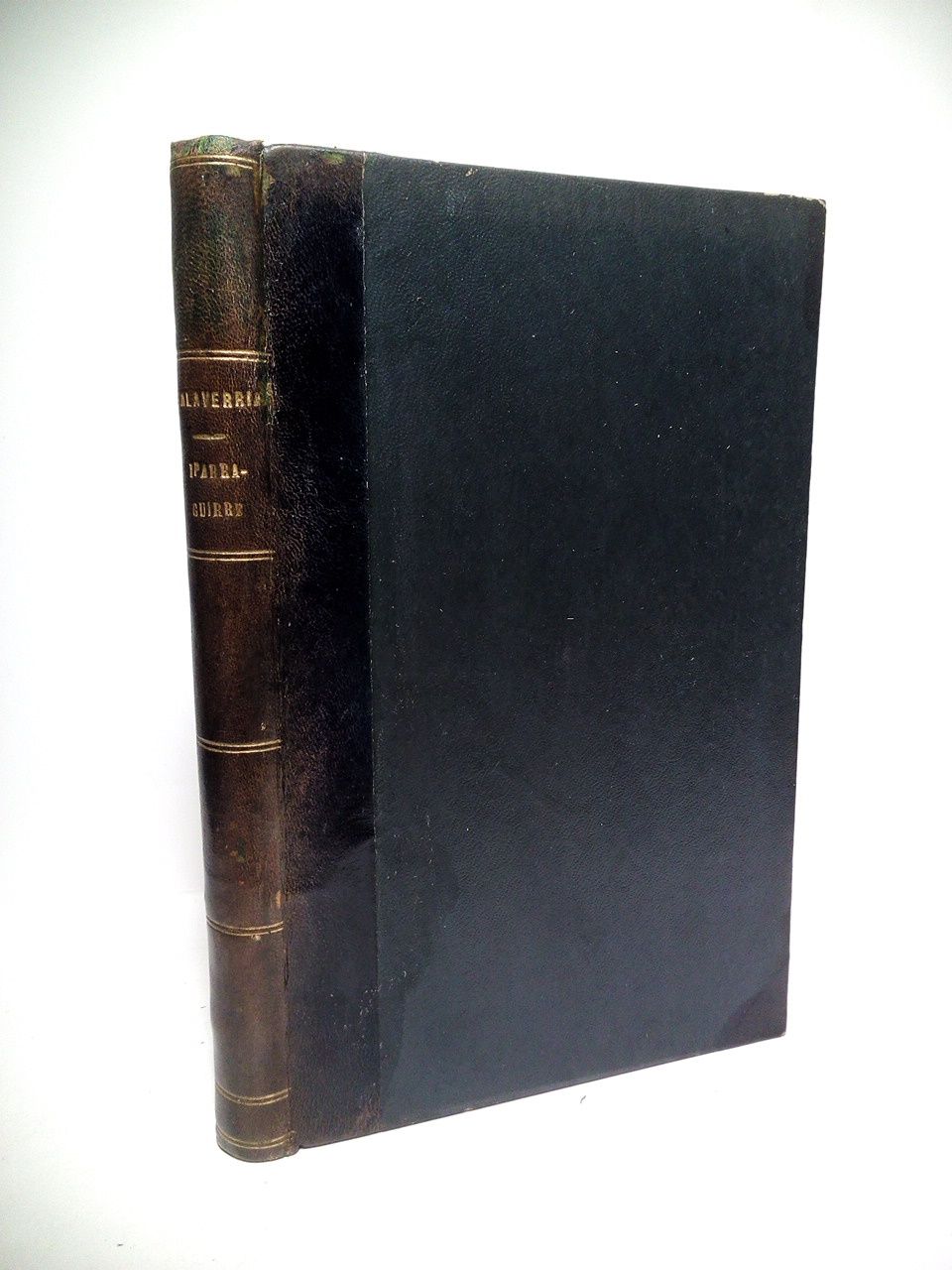 Iparaguirre: El último bardo