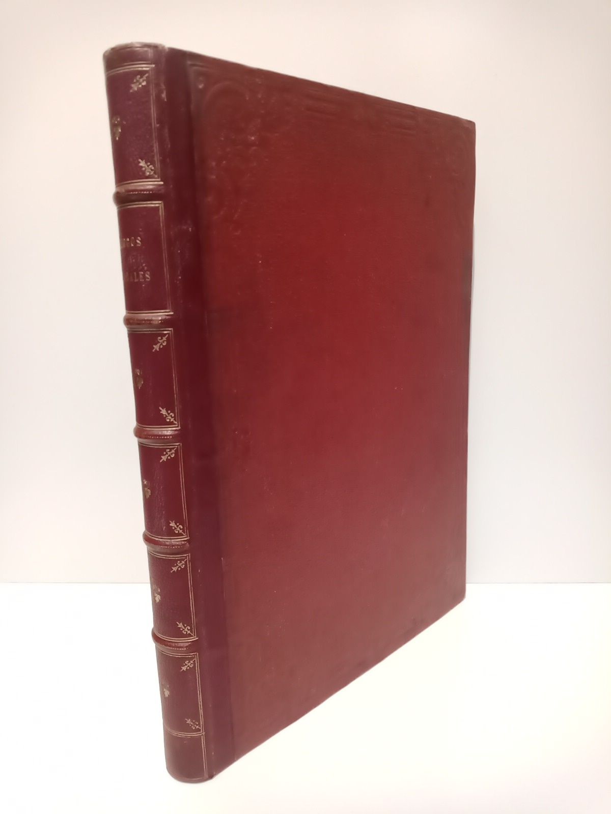 Juegos Florales. Certamen abierto en 1878 para celebrar el regio …
