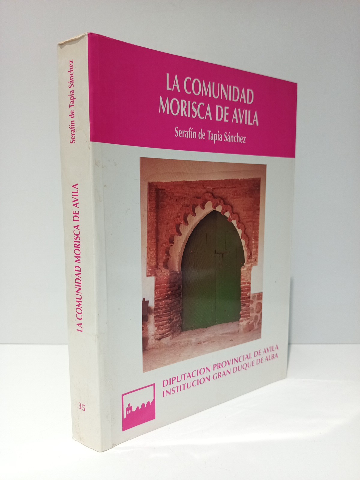 La comunidad morisca de Avila