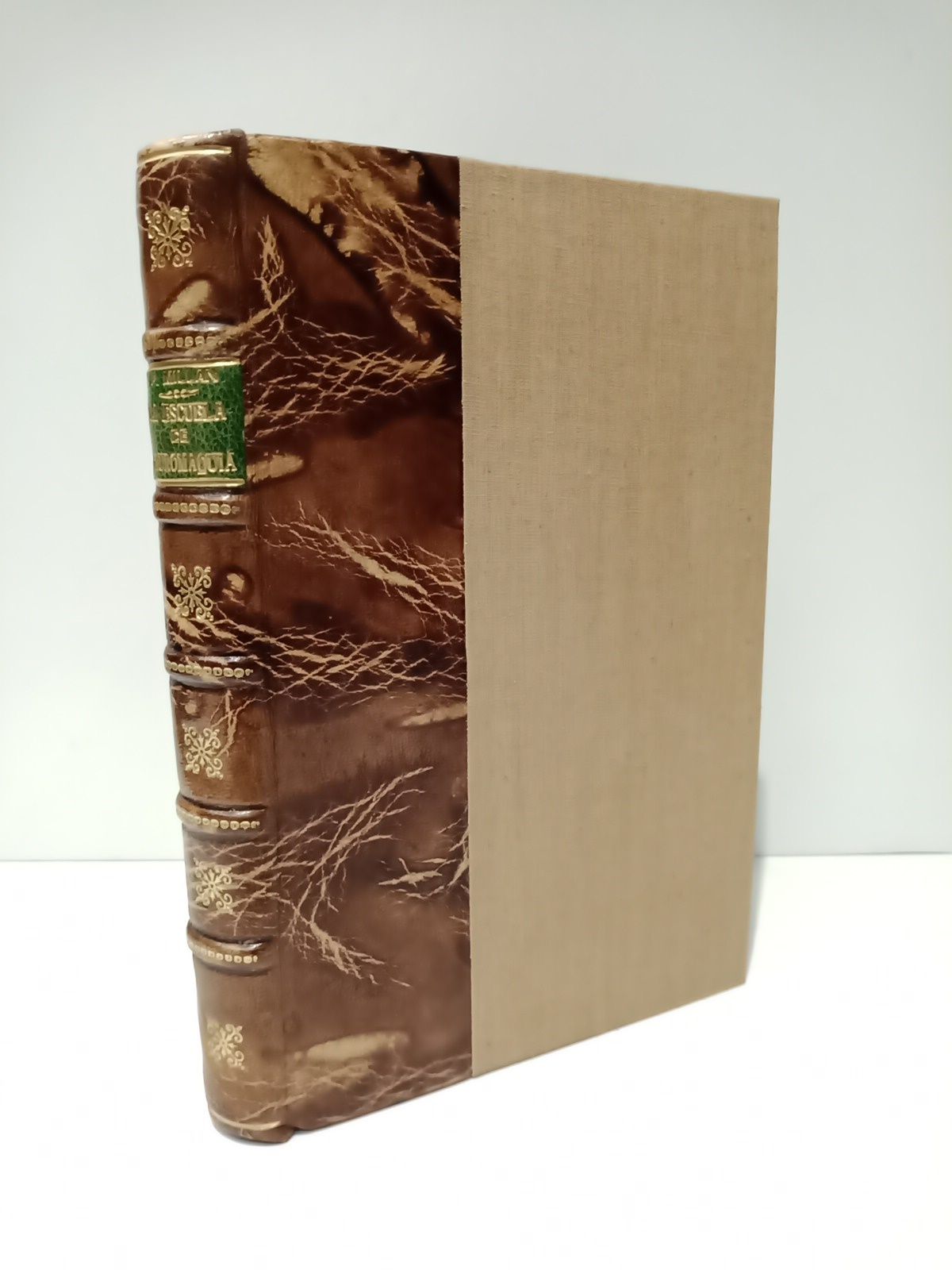 La Escuela de Tauromaquia de Sevilla y el Toreo Moderno …