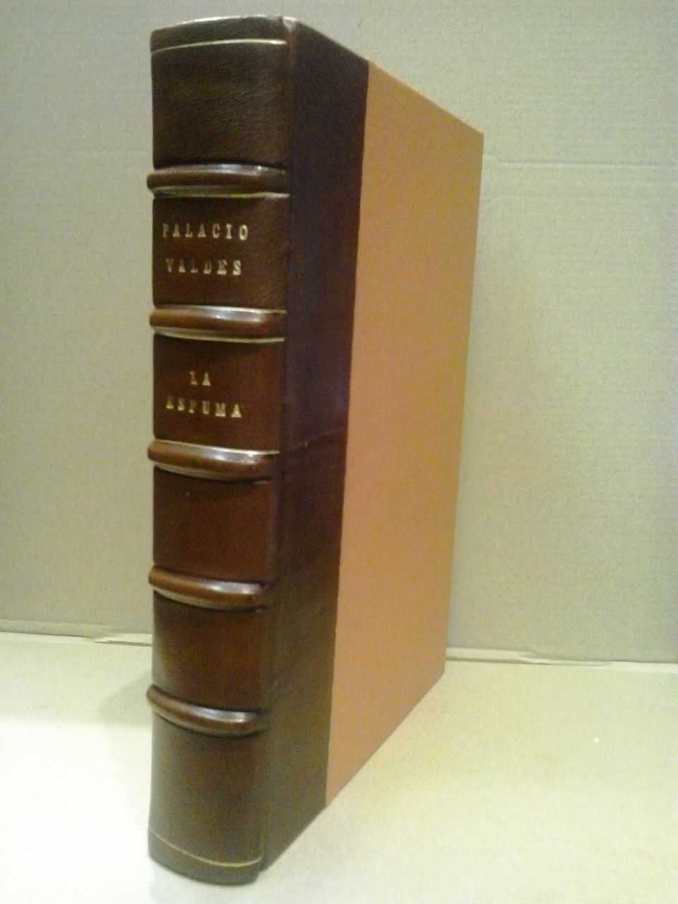 La Espuma: novela de costumbres contemporáneas / Ilustraciones de M. …