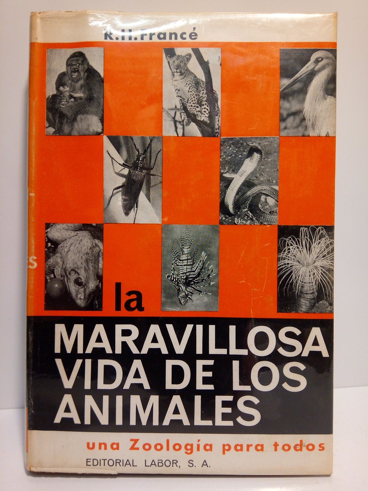 La maravillosa vida de los animales: Una zoología para todos …