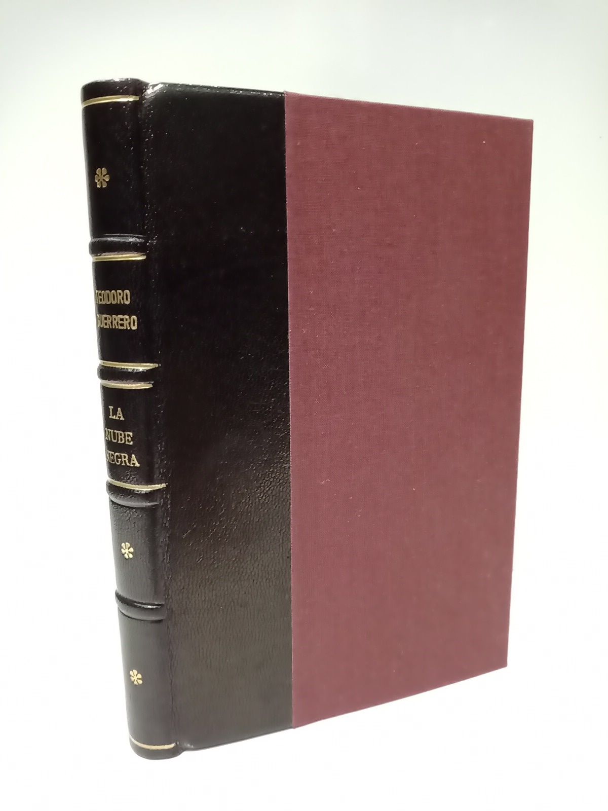 La Nube Negra. (Novela original)