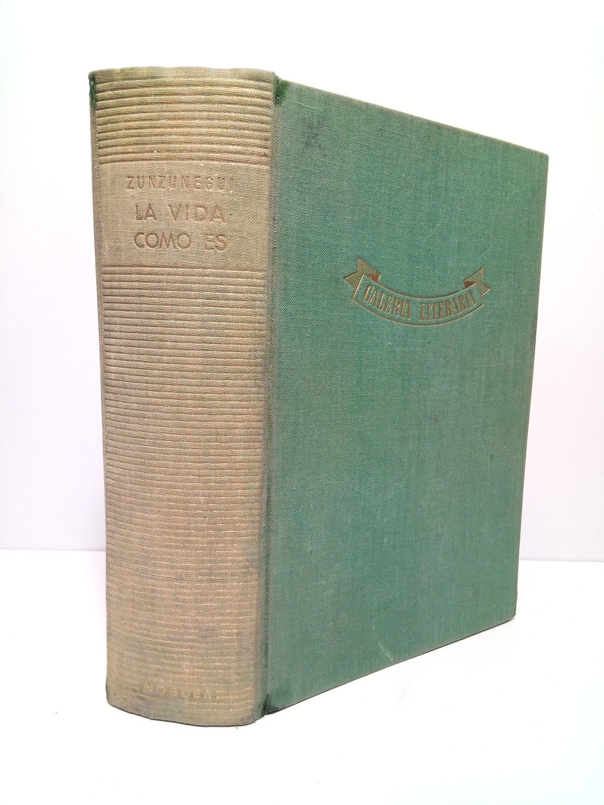 La vida como es (Novela picaresca, En muy paladina lengua …