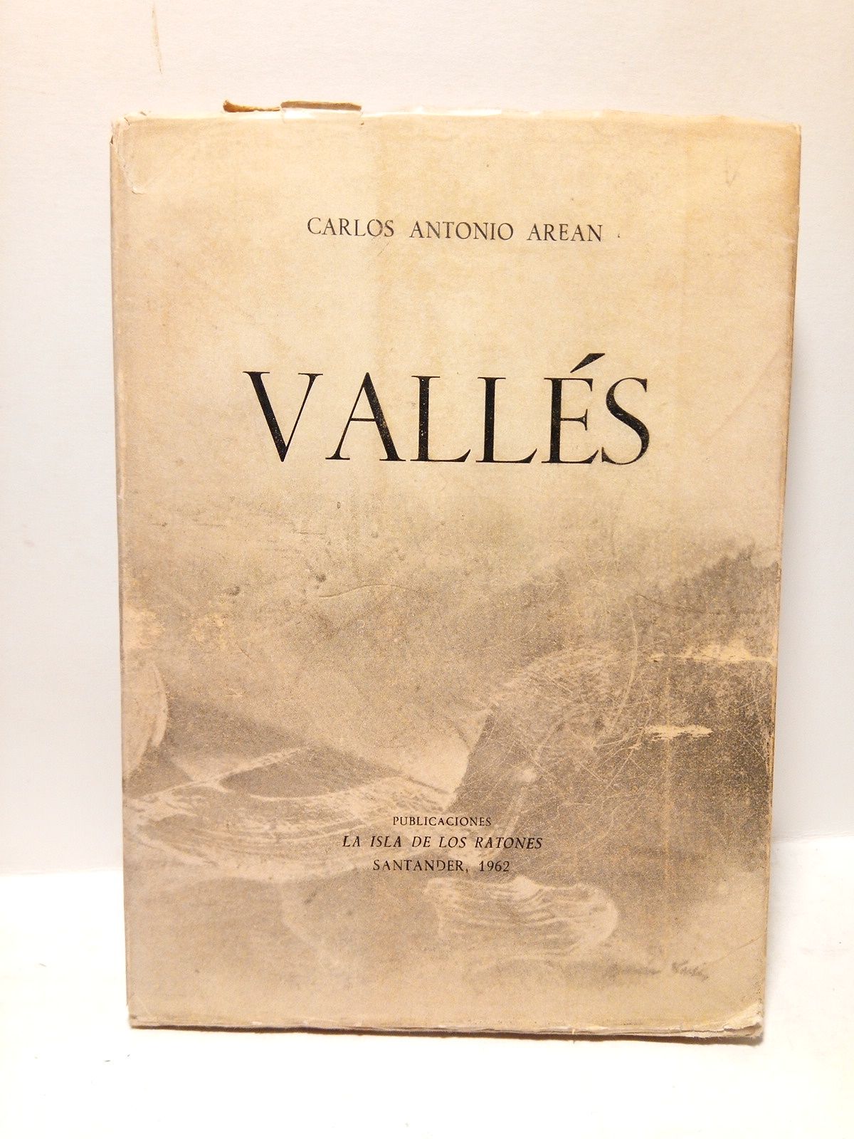 La voluntad de expresión formal de Román Vallés