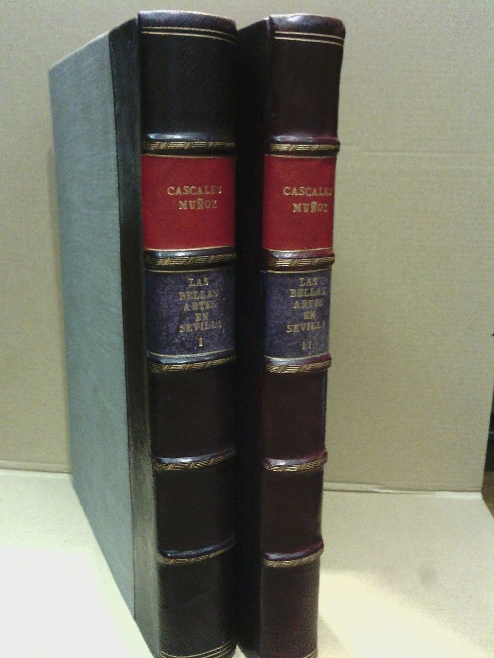 Las Bellas Artes Plásticas en Sevilla: La pintura, la escultura …