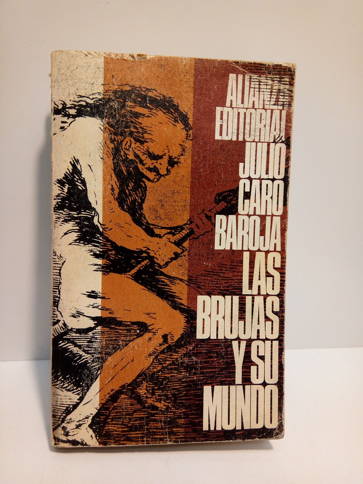 Las brujas y su mundo