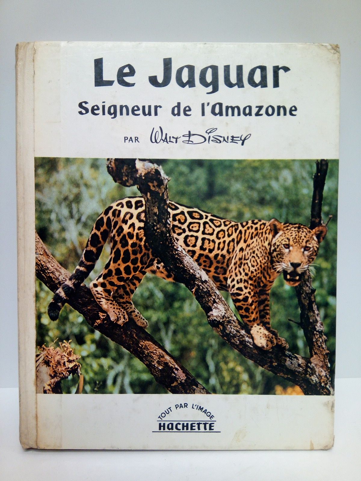 Le jaguar, seigneur de l'Amazone / Les images sont de …